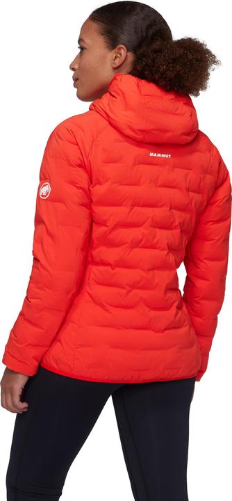 Image du produit Mammut Veste à capuche Sender IN Femme (L)