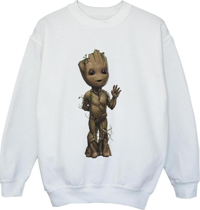 Produktbild I Am Groot Wave Pose Sweatshirt Jungen (152, 158)