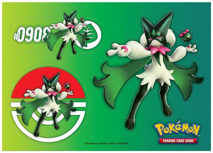 Actual product image Pokémon Collector Chest November 2023 (English, Box Set & Collection)