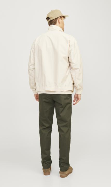 Actual product image Jack & Jones Jpstkane Jjotis Chino (27)