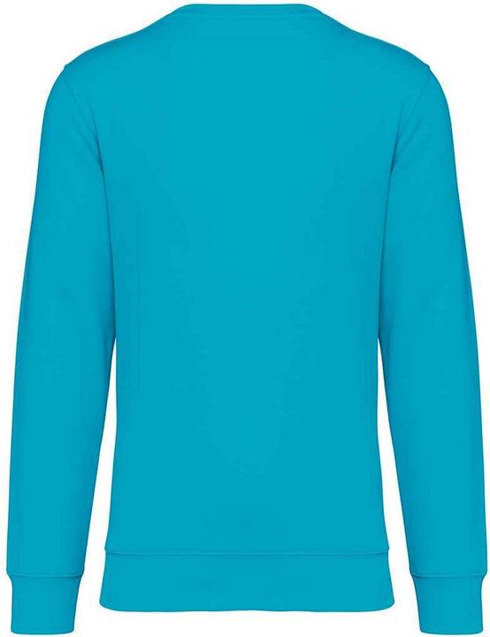 Immagine prodotto Native Spirit Felpa Girocollo Adulto Unisex (3XL)
