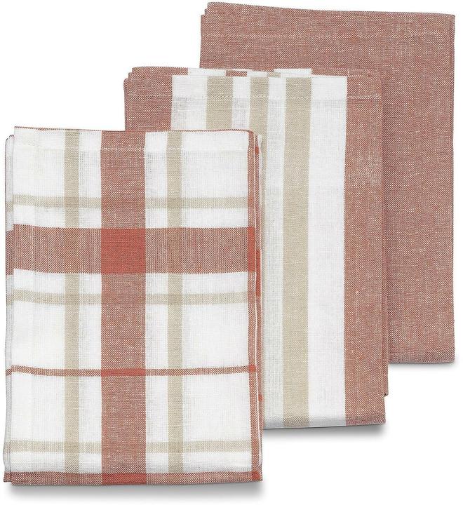 Beige, White, Terracotta