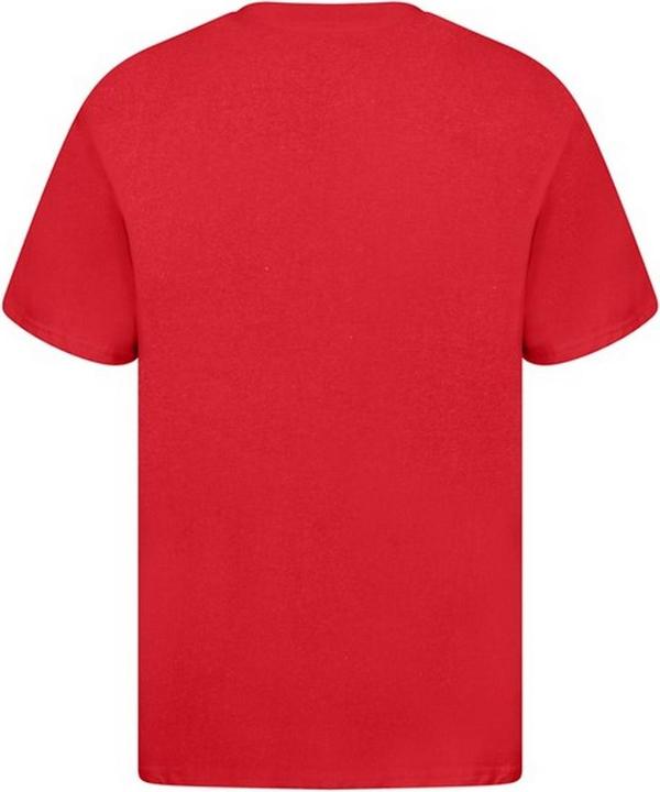Image du produit Universal Textiles Casual Classic T-shirt (M)