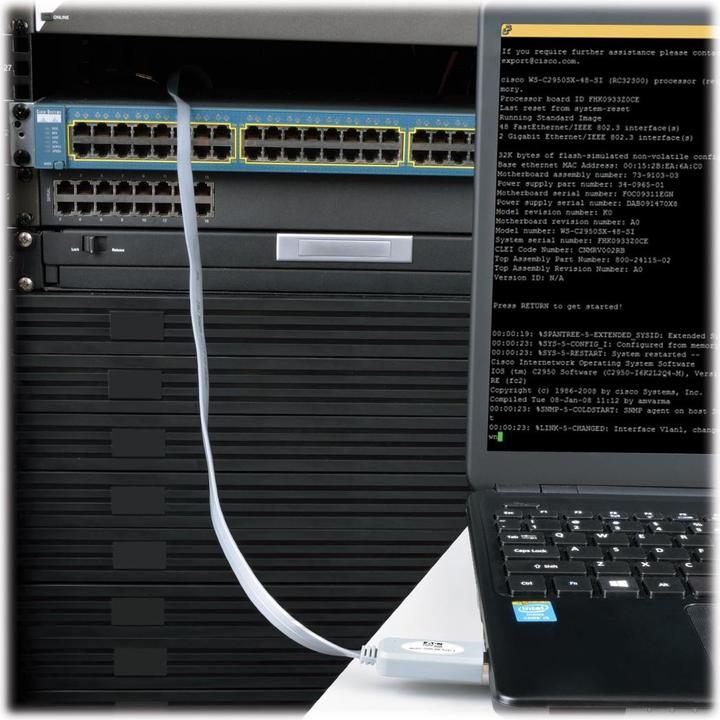 Immagine prodotto Eaton Cavo Rollover Seriale da USB-A a RJ45 M/M Compatibile Cisco 250 Kbps 6 ft. 1,83 m grigio (USB-A, 1 Porti)