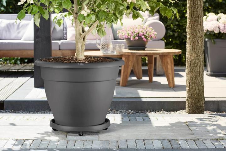 Produktbild Elho Untersetzer mit Rollen 35 cm anthrazit