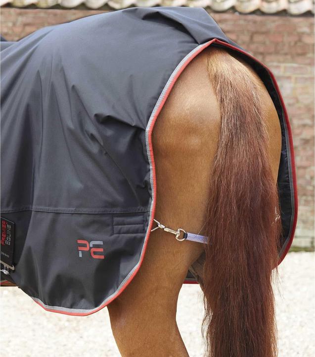 Image du produit Premier Equine 100 g (152 cm)