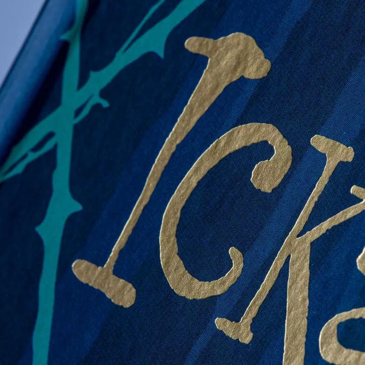 Produktbild Der Ickabog (Deutsch, J.K. Rowling, Friedrich Pflüger, 2020)