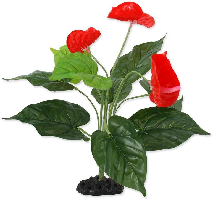Repti Planet Anthurium, 40 cm