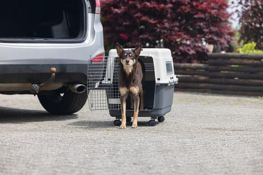 Produktbild Karlie Nomad (Katze, Hund, Abschliessbar)