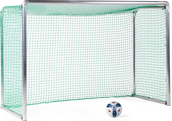 Sport-Thieme Mini-Trainingstor Protection