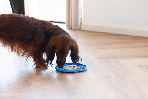 Actual product image Beeztees Pizza lick mat