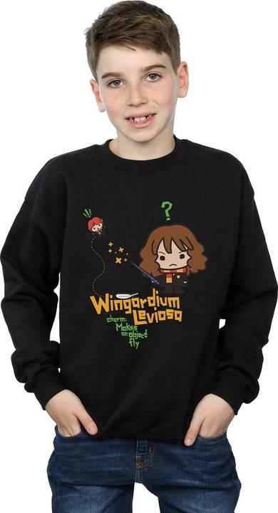 Produktbild Wingardium Leviosa Sweatshirt Jungen (140, 146)
