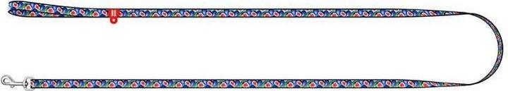 Actual product image Waudog nylon dog leash 20 mm wide, 122 cm long "fig" (Dog, Dog sport)
