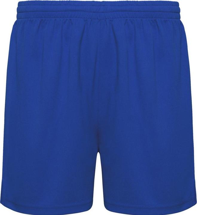 Bleu roi