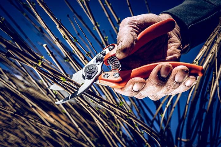 Actual product image Löwe Original 11 handle curved inwards