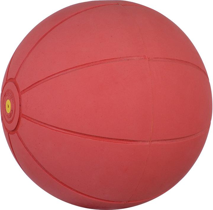 Actual product image WV Ball Medicine ball (1.50 kg, 220 mm)