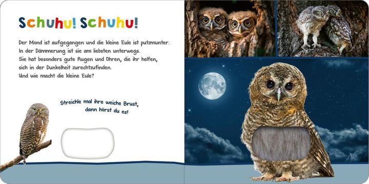 Produktbild Hör mal rein, wer kann das sein? - Tiere in der Nacht (Deutsch)