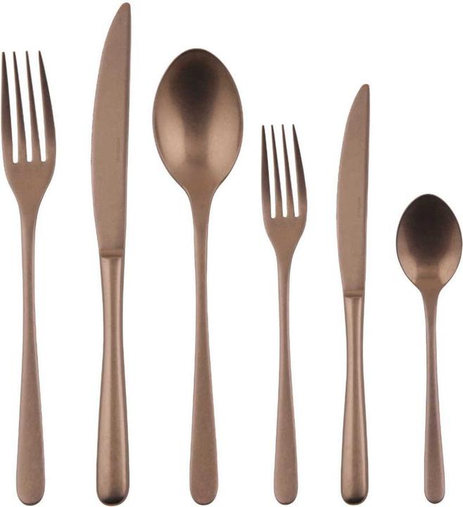Actual product image Rosenthal Cutlery 36 pcs. Taste Vintage stainless steel/PVD copper (36 Piece, Scoops, Pitchfork, Knife)