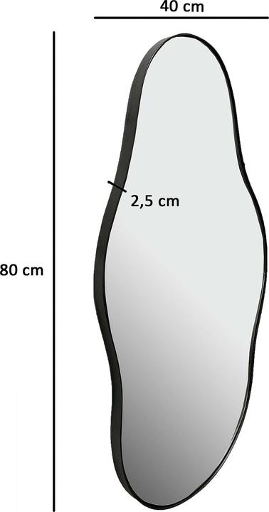 Produktbild FineBuy Flurspiegel (40 x 80 cm)
