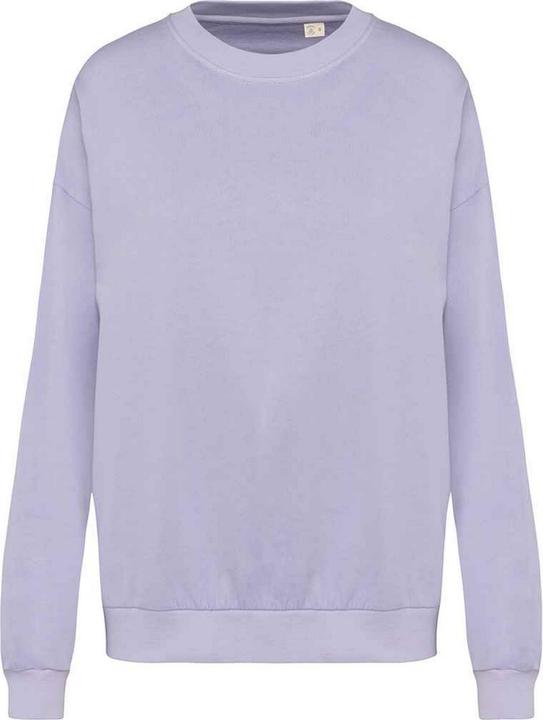 Native Spirit Sweatshirt