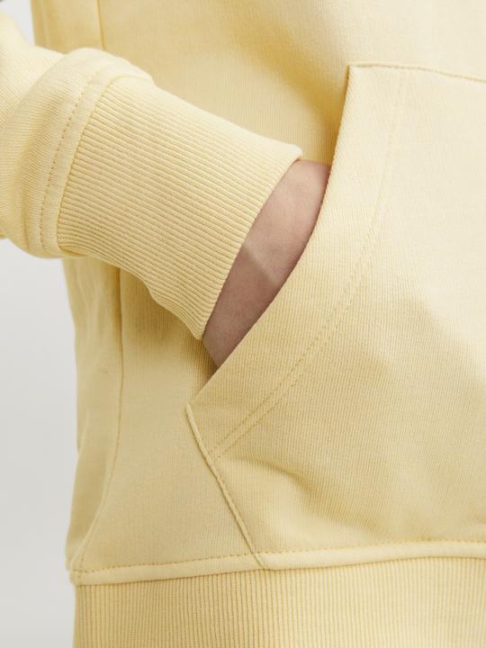 Produktbild Jack & Jones Jorcobin Sweat Hood Jnr (164)