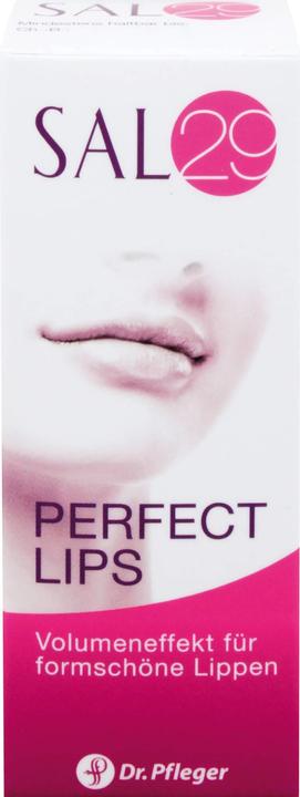 Produktbild Dr. Pfleger SAL29 Perfect Lips Lippenpflege, 4 g Creme