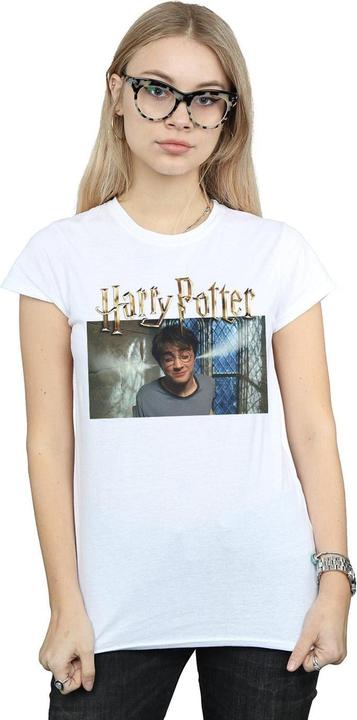 Actual product image Womens/Ladies Steam Ears Cotton T-Shirt (L)