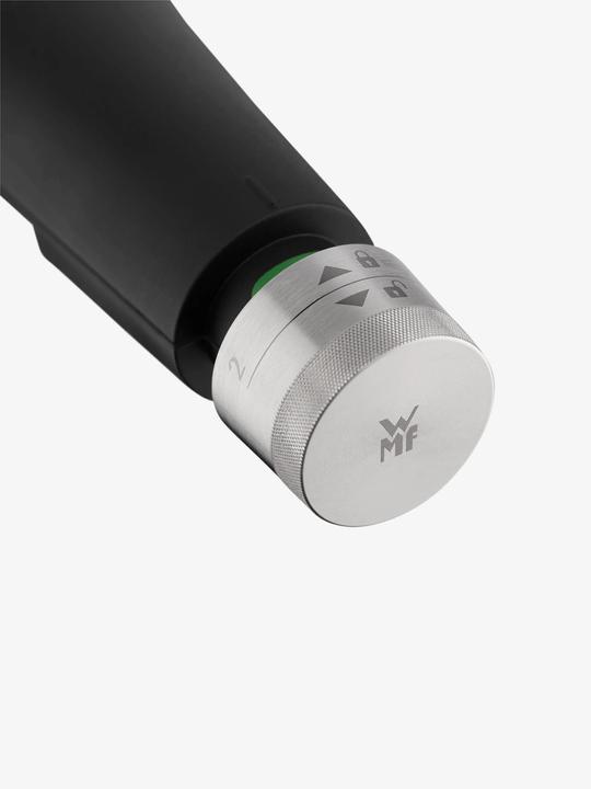 Actual product image WMF Perfect Premium (22 cm, Steam cooker, Stainless steel)