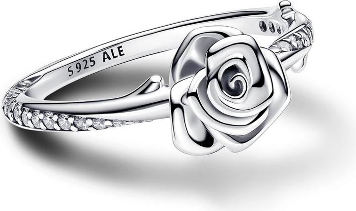 Immagine prodotto Pandora Rosa (60, 925 Argento)