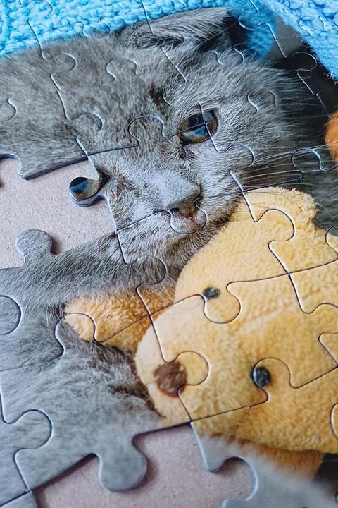 Immagine prodotto Selecta Spielzeug Puzzle con gattino e cane addormentato, 100 pezzi. (100 pezzi)