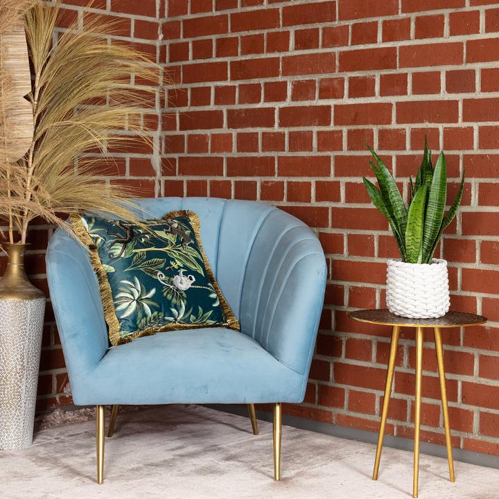 Immagine prodotto Flowerbox Canapa dell'arco - Sansevieria zeylanica (45 cm)