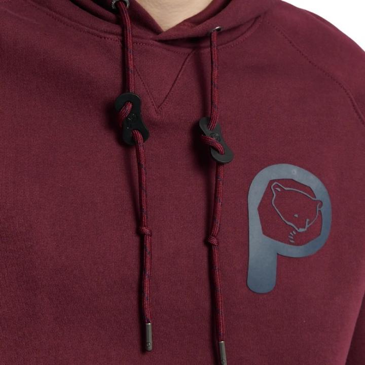 Actual product image Penfield large hoodie bear chet print lb (S)