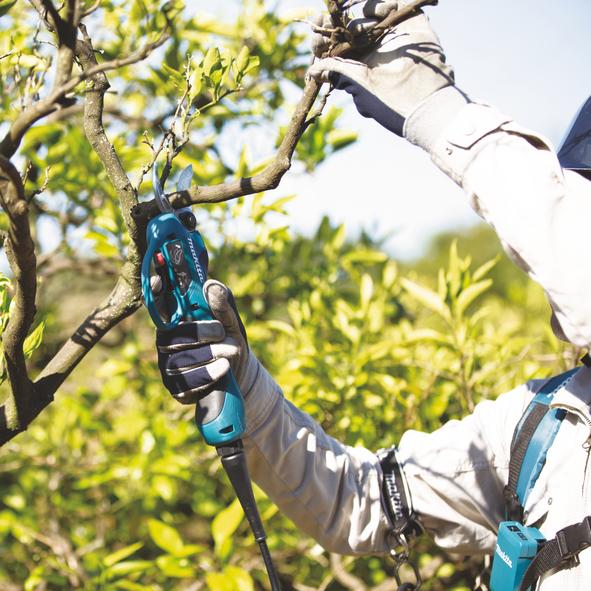 Produktbild Makita Rebschere