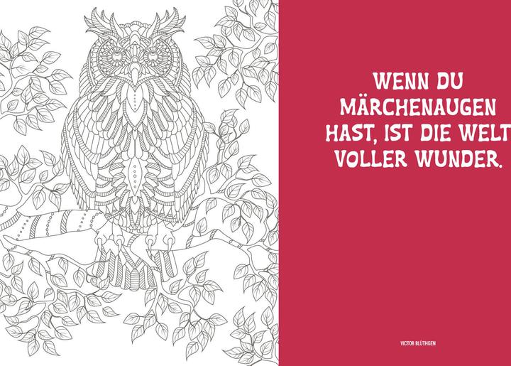 Produktbild Mandala Natur und Entspannung