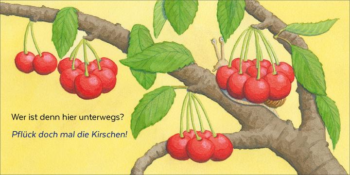 Produktbild Brosche:Wer hat sich denn hier versteck (Deutsch, Heidemarie Brosche, Mele Brink, 2025)