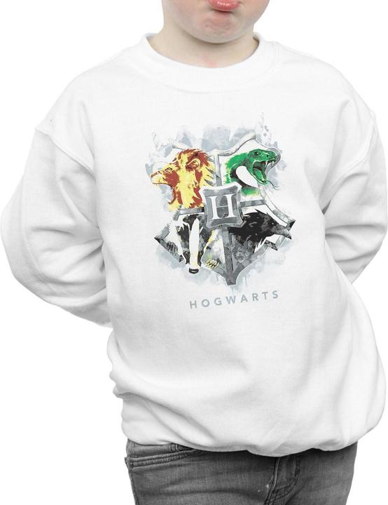 Image du produit - Sweat HOGWARTS PAINTED CREST - Garçon (140, 146)
