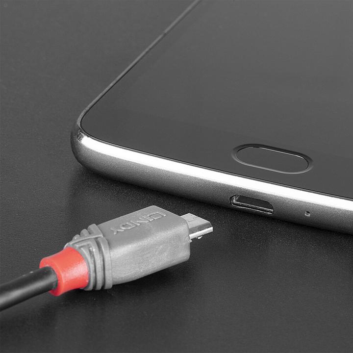 Actual product image Lindy Anthra Line (2 m, USB 2.0)