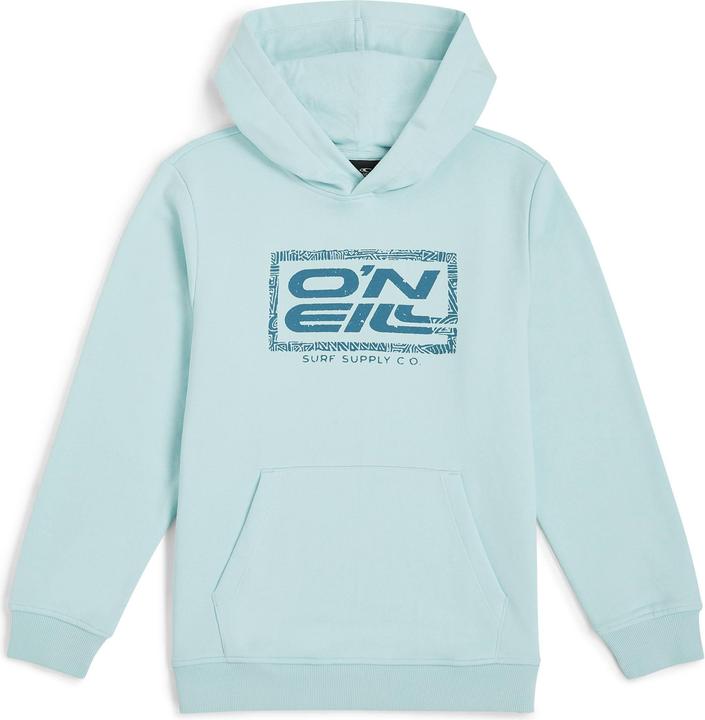 Actual product image O'Neill Logo Hoodie (164)