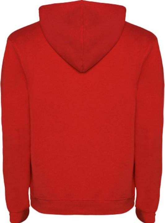 Actual product image Alpinia Mens Urban Hoodie (XL)