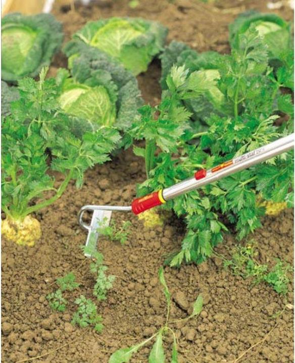 Actual product image Wolf-Garten Draw Hoe