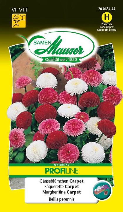 Produktbild Samen Mauser Gänseblümchen Carpet (Blumensamen)