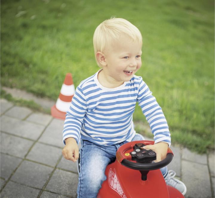 Actual product image BIG Multi Sound Wheel