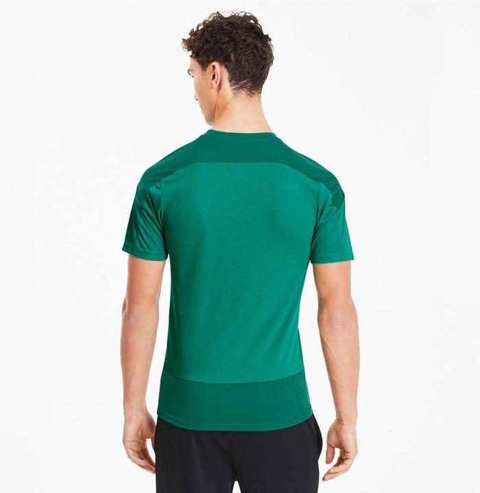 Image du produit Puma équipeGOAL 23 Formation Jersey-656482 (M)