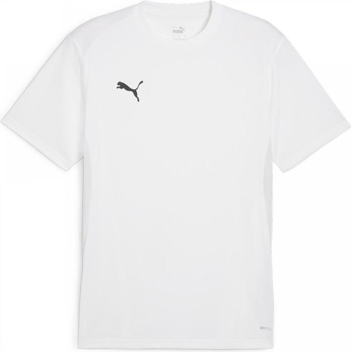Actual product image Puma teamGOAL Jersey (3XL)