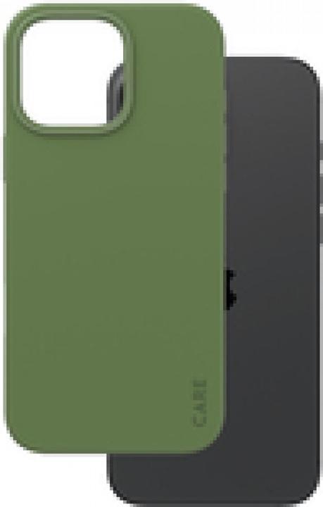 Piquant Green