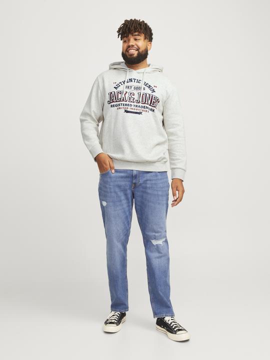 Immagine prodotto Jack & Jones JJELOGO SWEAT HOOD 2 COL 24/25 NOOS PLS (5XL)