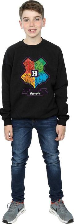 Produktbild Hogwarts Junior Crest Sweatshirt Jungen (140, 146)