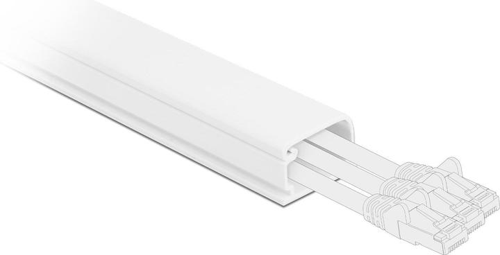 Actual product image Delock Cable duct with cover 57 x 28 mm (Duct, 100 cm)