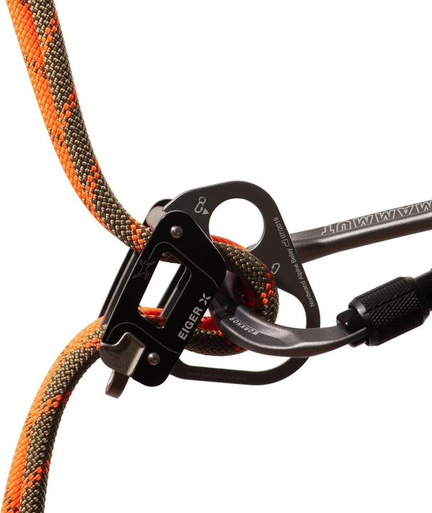 Image du produit Mammut 8.0 Alpine Dry Corde d'escalade (50 m)