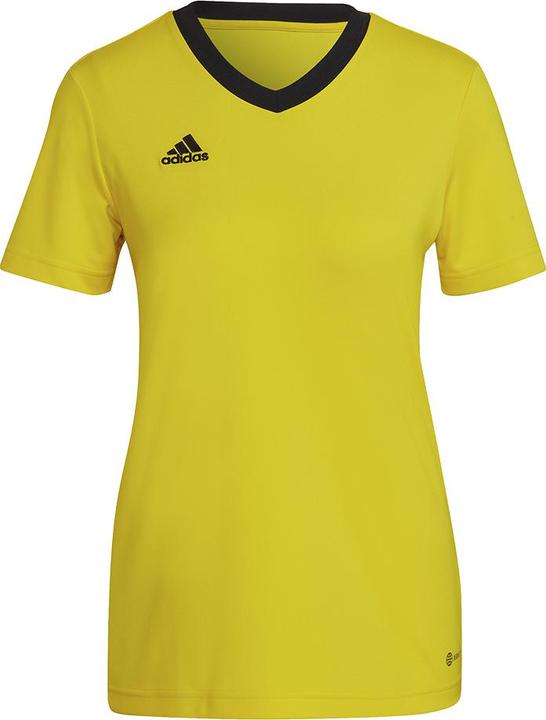 Yellow / Black
